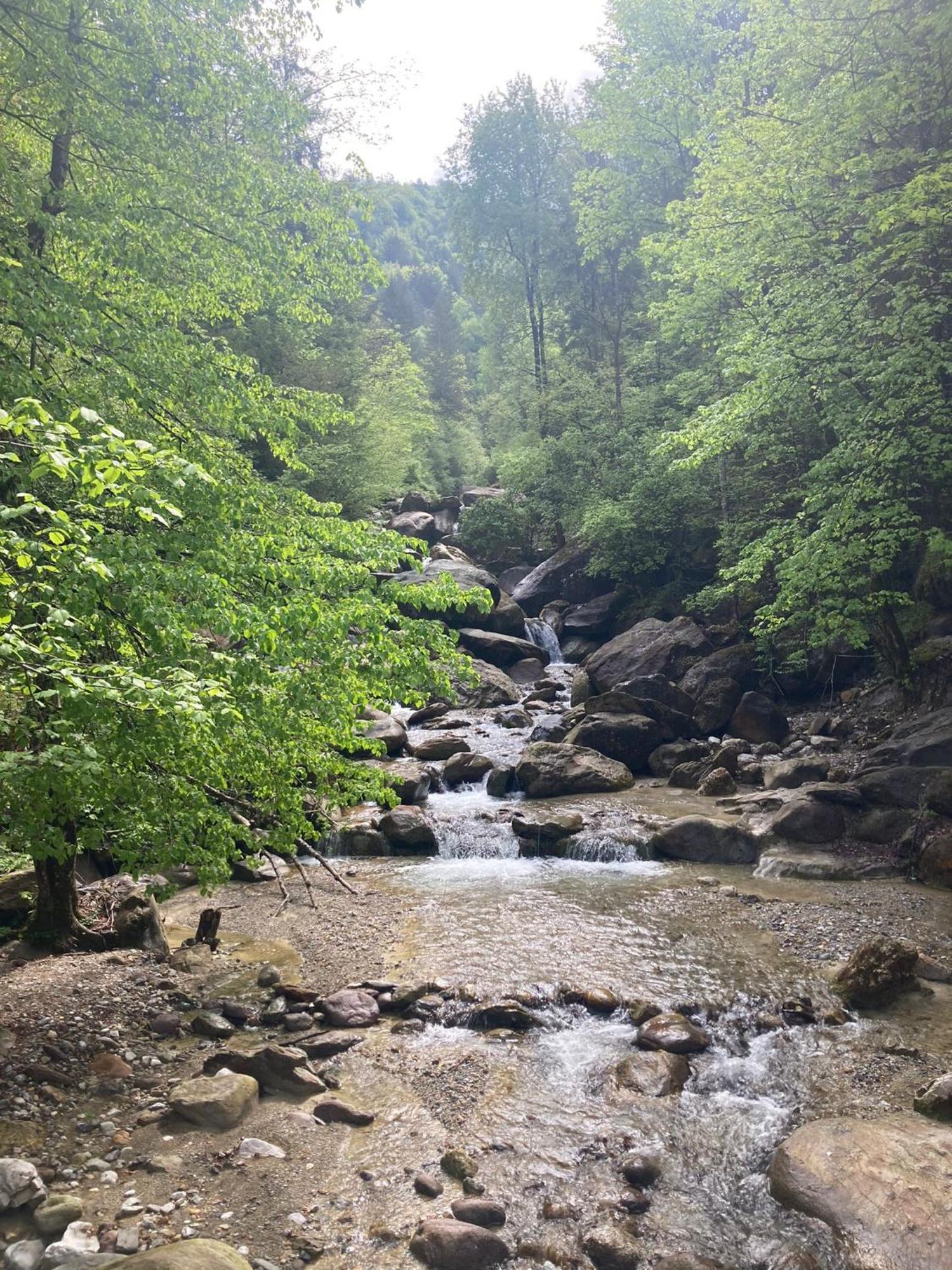 Ortighera Monolocale Relax Sulla Ciclabile Lenna Exteriér fotografie