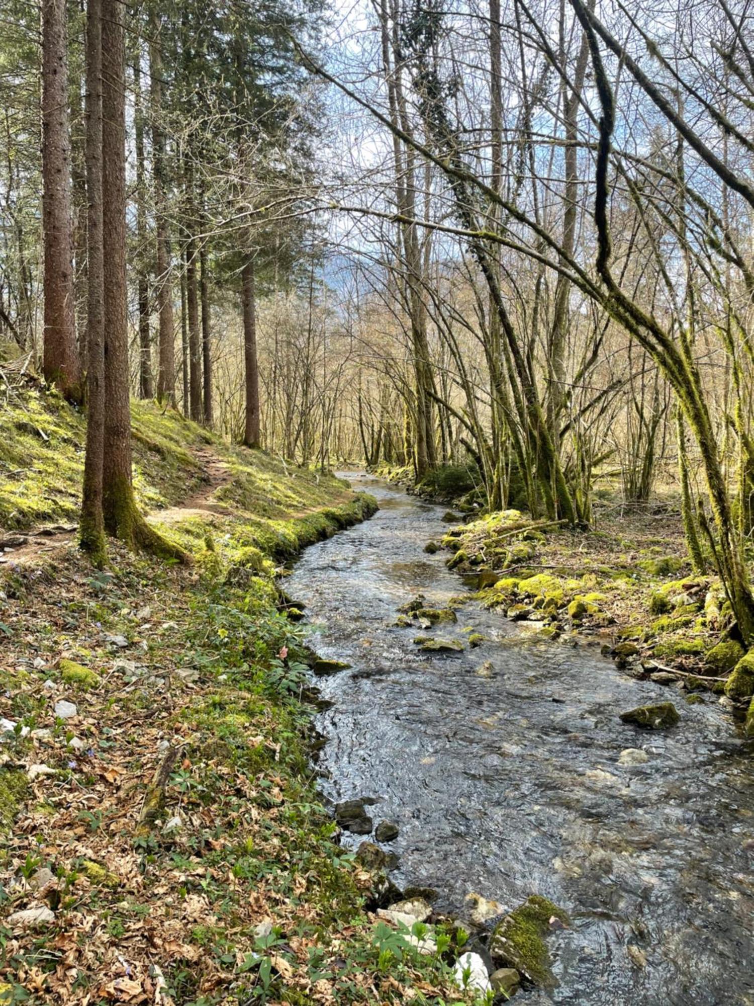 Ortighera Monolocale Relax Sulla Ciclabile Lenna Exteriér fotografie