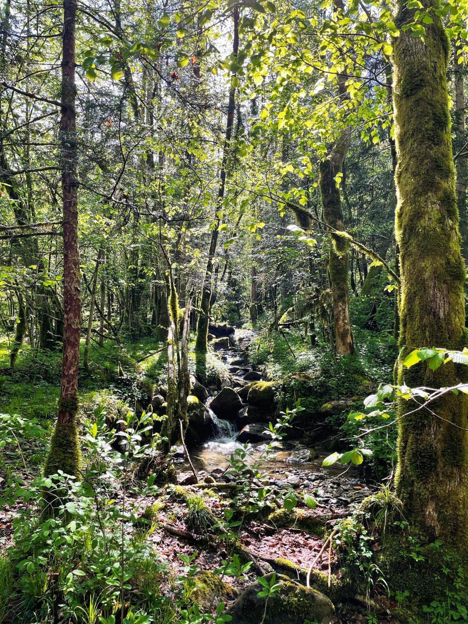 Ortighera Monolocale Relax Sulla Ciclabile Lenna Exteriér fotografie